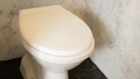 Toilet Bowl with Tank