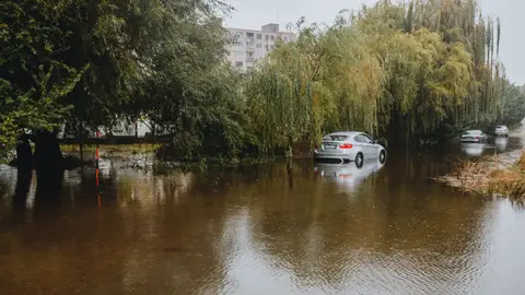 Flooded road with submerged cars and trees
