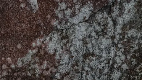 A Brown Wall with Cracks and Mold