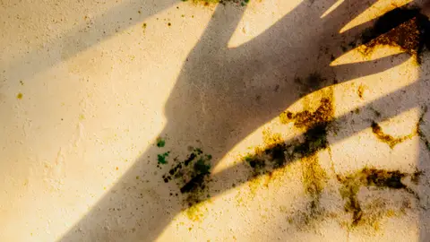 Shadow of Hand on Moldy Wall in Sunset Light