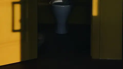 Open Door to Toilet
