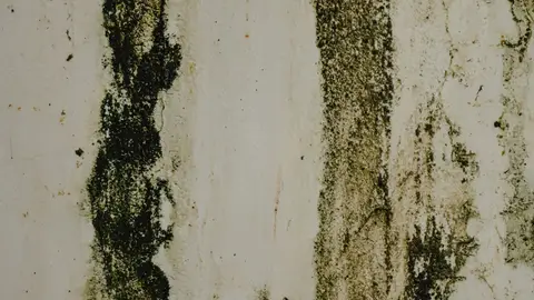Close-up of a Stained Wall